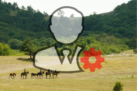 Манифест - основные условия цели и приоритеты проекта