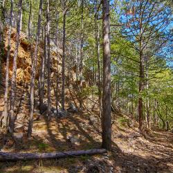 Отдых в Крыму | Гора Могаби - маршрут прогулки по лесу из Ялты