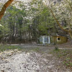 Отдых в Крыму | Гора Могаби - маршрут прогулки по лесу из Ялты