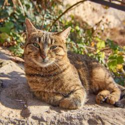 Отдых в Крыму | Яшмовый - живописный пляж для купания в открытом море