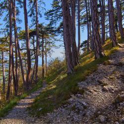 Отдых в Крыму | Ставрикайская тропа - маршрут восхождения на яйлу из Ялты