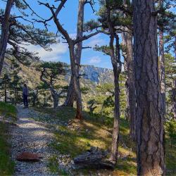 Отдых в Крыму | Ставрикайская тропа - маршрут восхождения на яйлу из Ялты