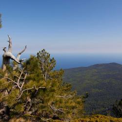 Отдых в Крыму | Ставрикайская тропа - маршрут восхождения на яйлу из Ялты