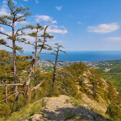 Ставрикайская тропа - маршрут восхождения на яйлу из Ялты