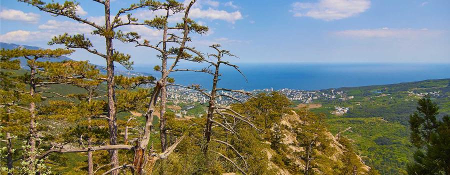 Отдых в Крыму | Ставрикайская тропа - маршрут восхождения на яйлу из Ялты