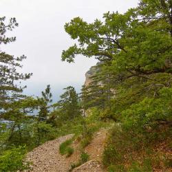 Штангеевская тропа - маршрут пешей прогулки из Ялты