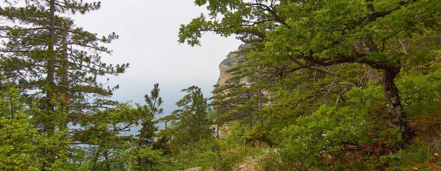 Отдых в Крыму | Штангеевская тропа - маршрут пешей прогулки из Ялты