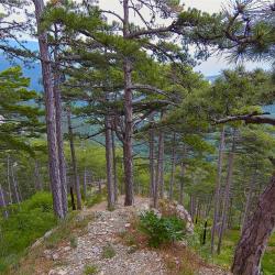 Отдых в Крыму | Таракташская тропа маршрут из Ялты - горная тропа