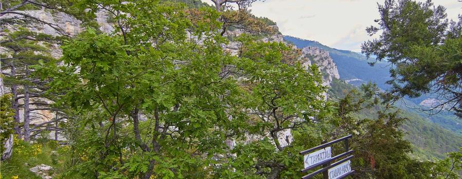 Отдых в Крыму | Таракташская тропа маршрут из Ялты - горная тропа